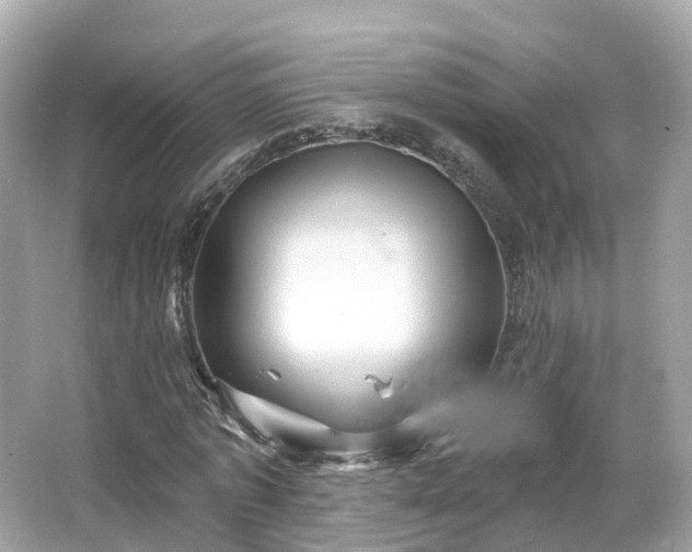 X0000066090773200603131203