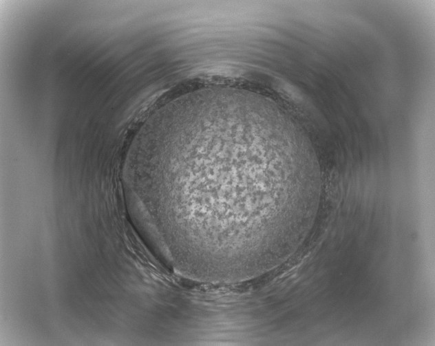 X0000066090774200603131203