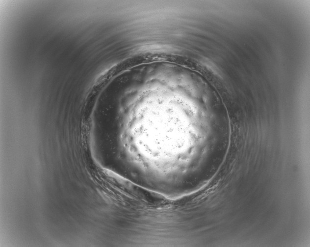 X0000066090775200603131203