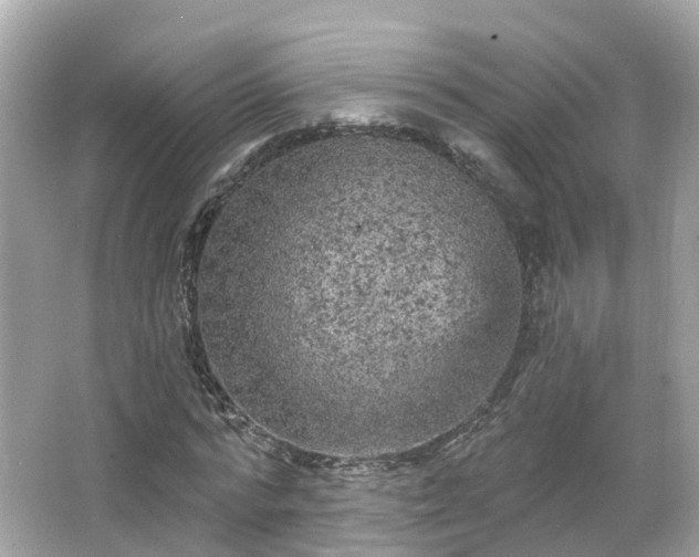 X0000066090776200603131203