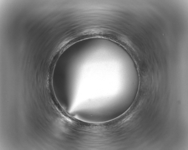 X0000066090778200603131203