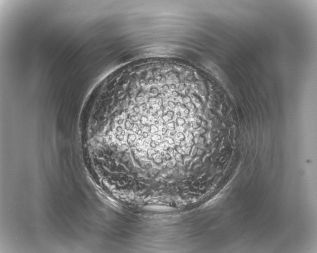 X0000066090779200603131203