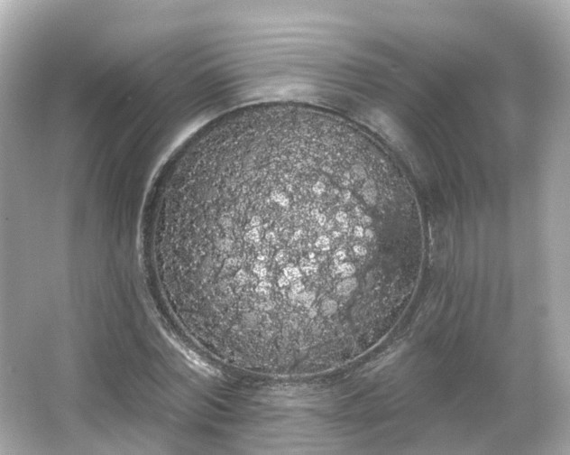 X0000066090780200603131202