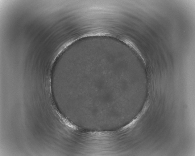 X0000066090781200603131202