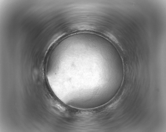 X0000066090782200603131202