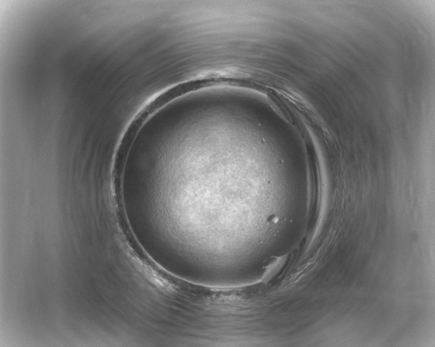 X0000066090784200603131202