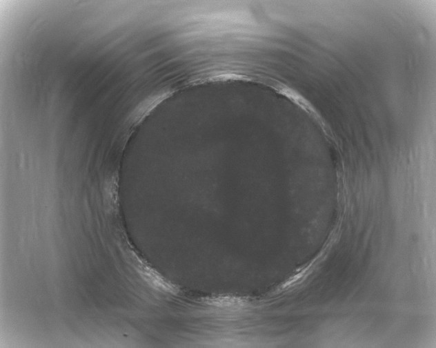 X0000066090785200603131202