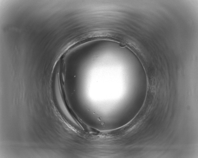 X0000066090786200603131202