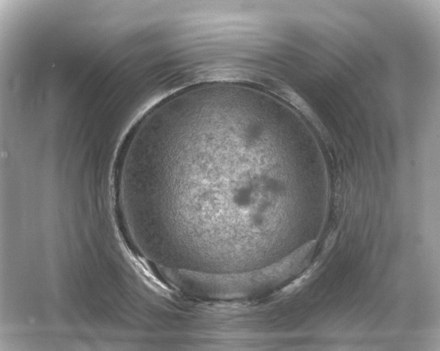 X0000066090787200603131202