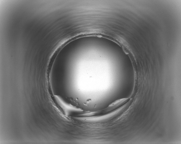 X0000066090789200603131202