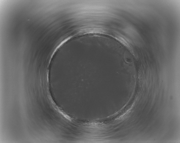 X0000066090790200603131202