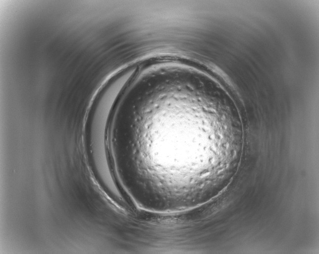 X0000066090791200603131202