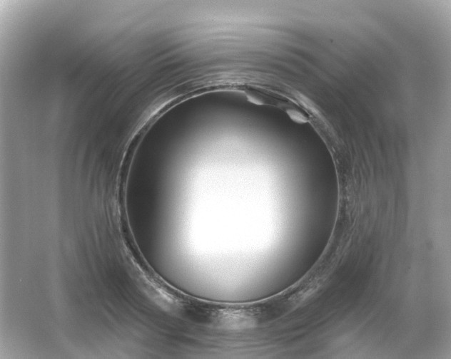 X0000066090794200603131202