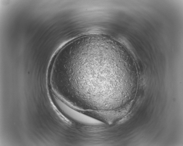 X0000066090795200603131202