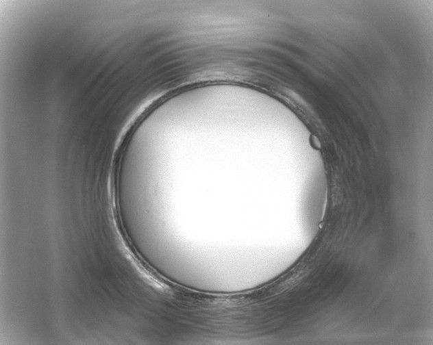 X0000066090796200603131202