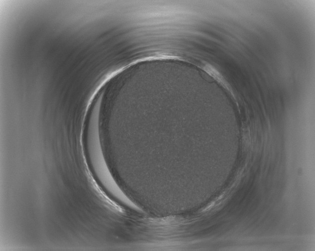 X0000066090797200603131202