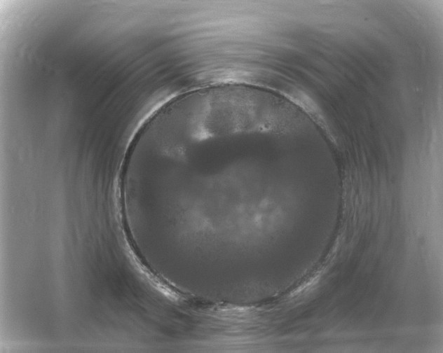 X0000066090798200603131202