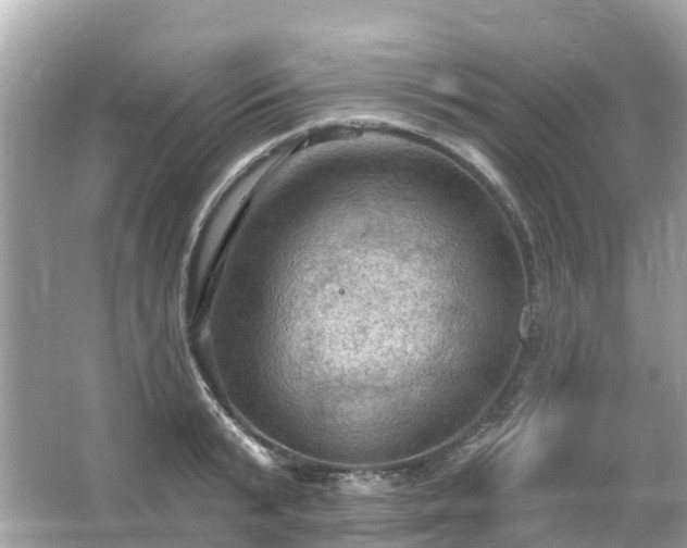 X0000066090799200603131202