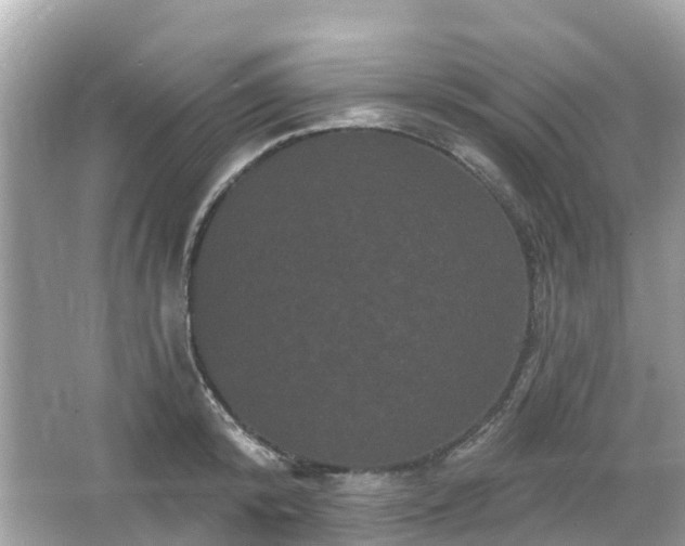 X0000066090800200603131202