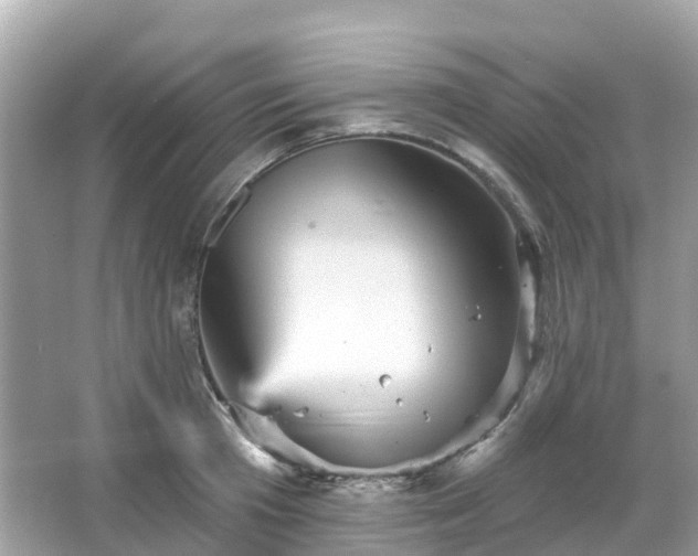 X0000066090801200603131202