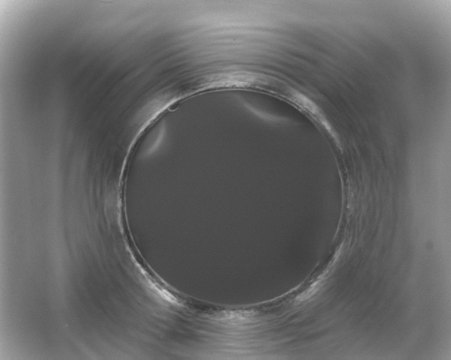 X0000066090802200603131202