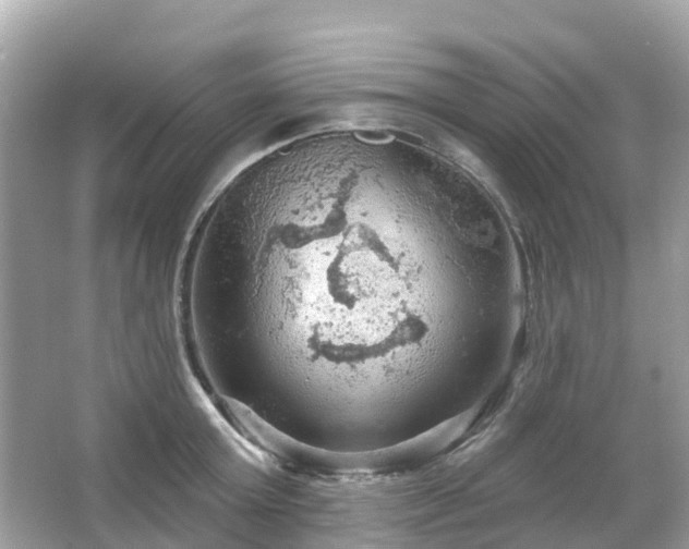 X0000066090803200603131202