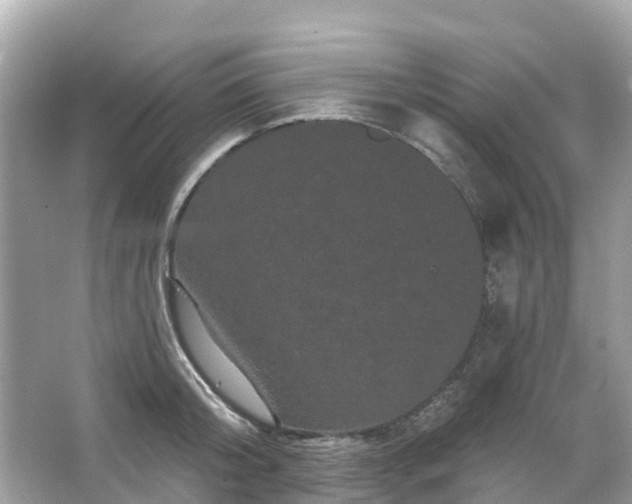 X0000066090804200603131202