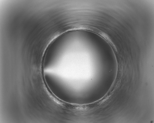 X0000066090805200603131202