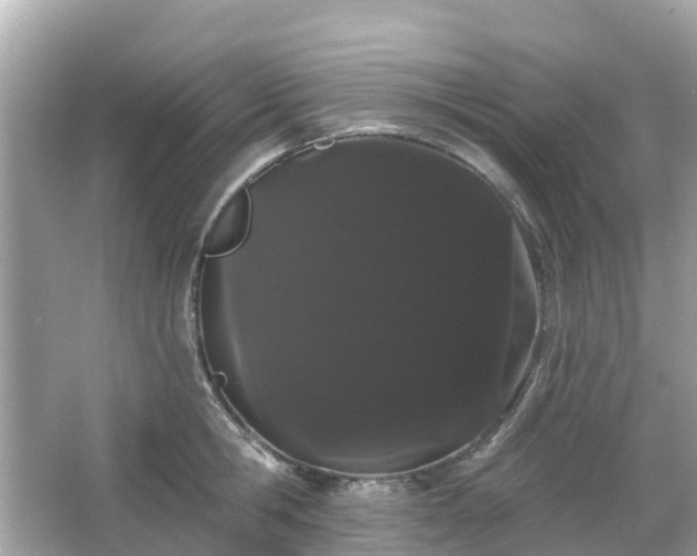 X0000066090806200603131202