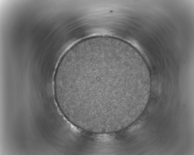 X0000066090807200603131202