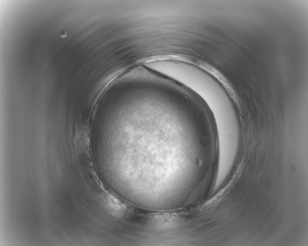 X0000066090809200603131202