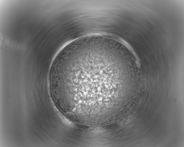 X0000066090811200603131202