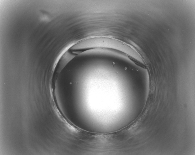 X0000066090812200603131202