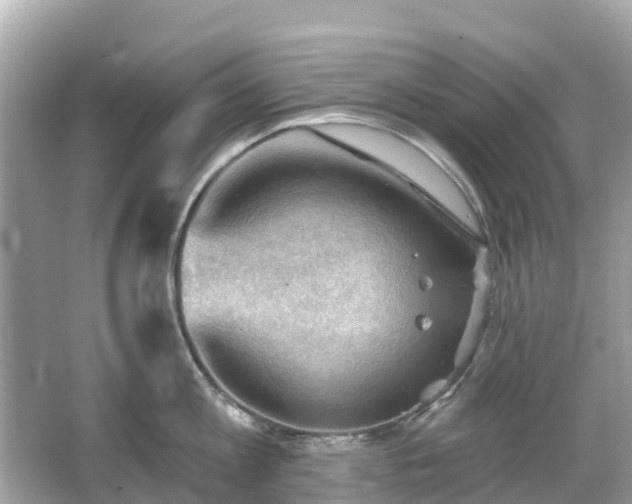 X0000066090813200603131202