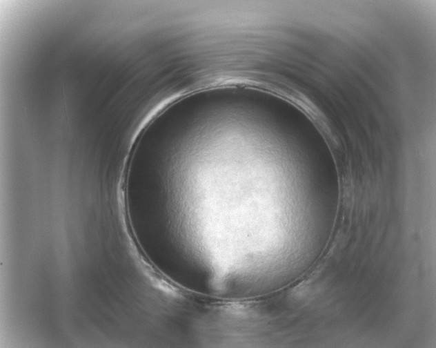 X0000066090814200603131202