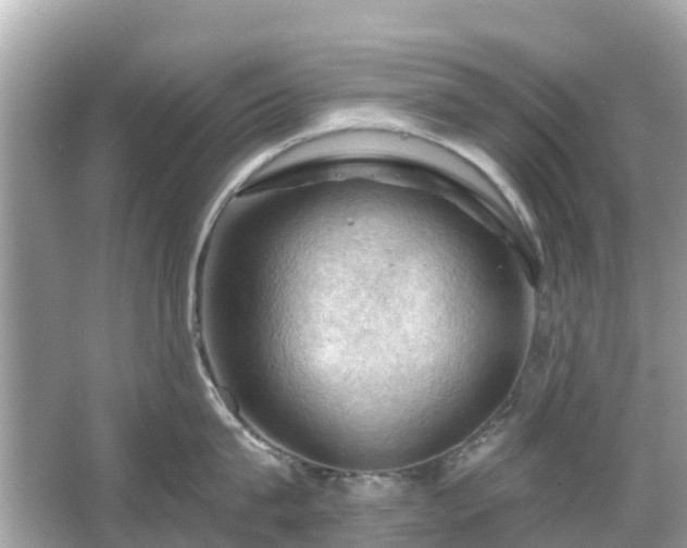 X0000066090815200603131202