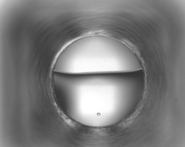 X0000066090816200603131202