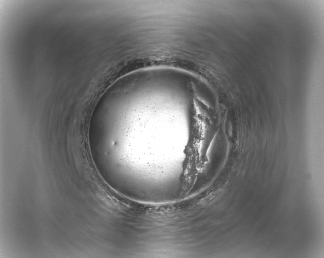 X0000066090817200603131201