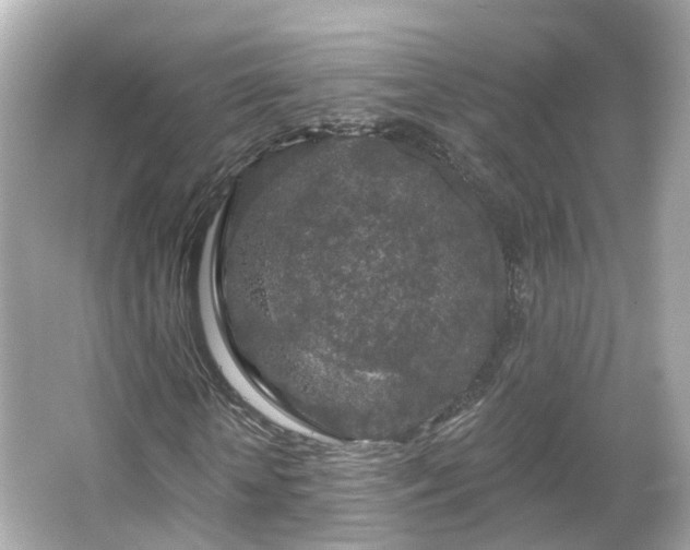 X0000066090818200603131201