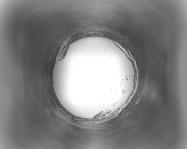 X0000066090820200603131201