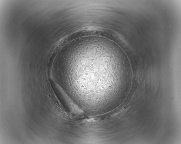 X0000066090821200603131201