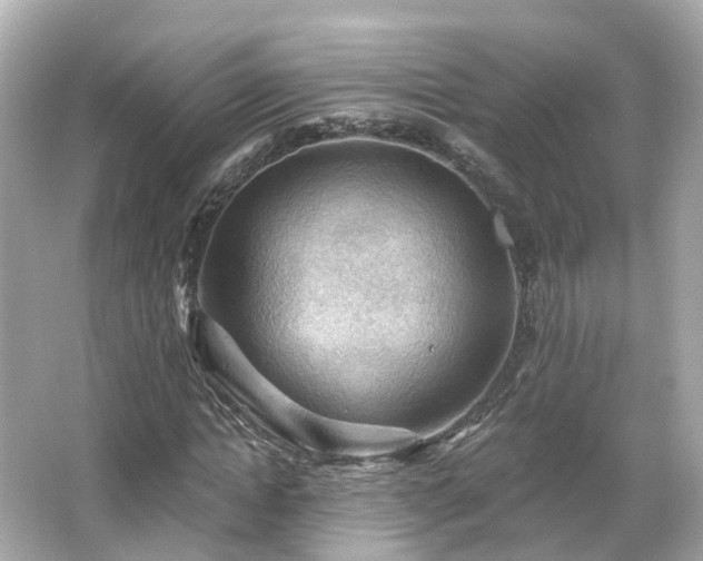 X0000066090822200603131201