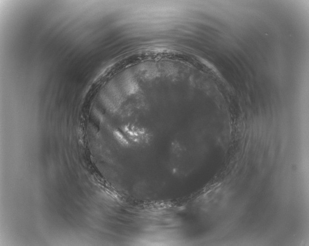 X0000066090823200603131201