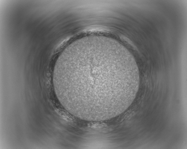 X0000066090824200603131201