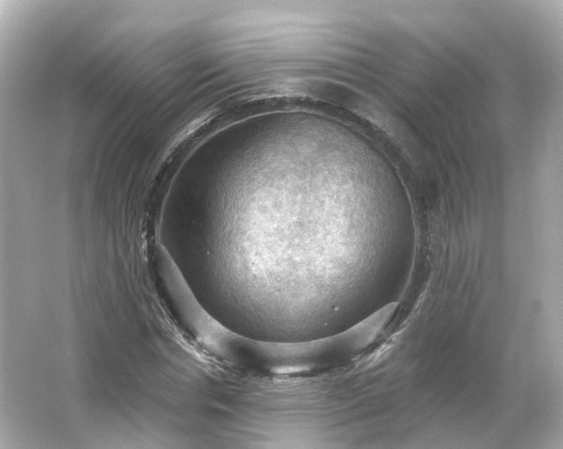 X0000066090826200603131201