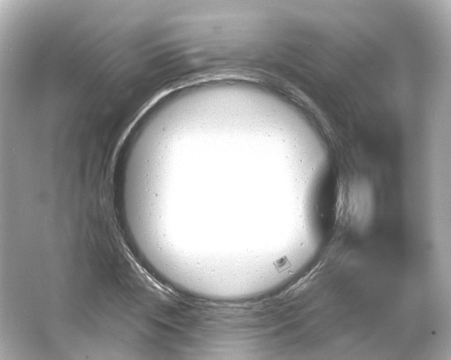 X0000066090828200603131201