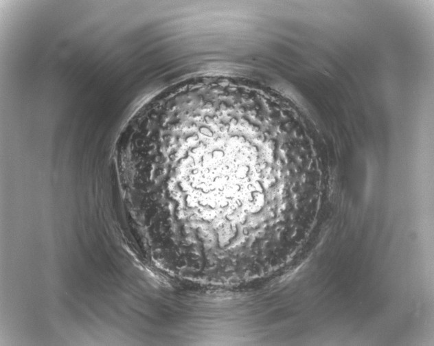 X0000066090829200603131201