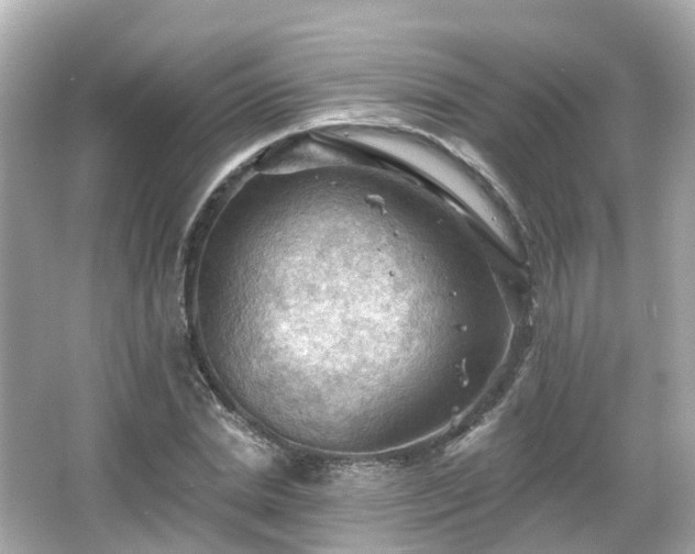 X0000066090830200603131201