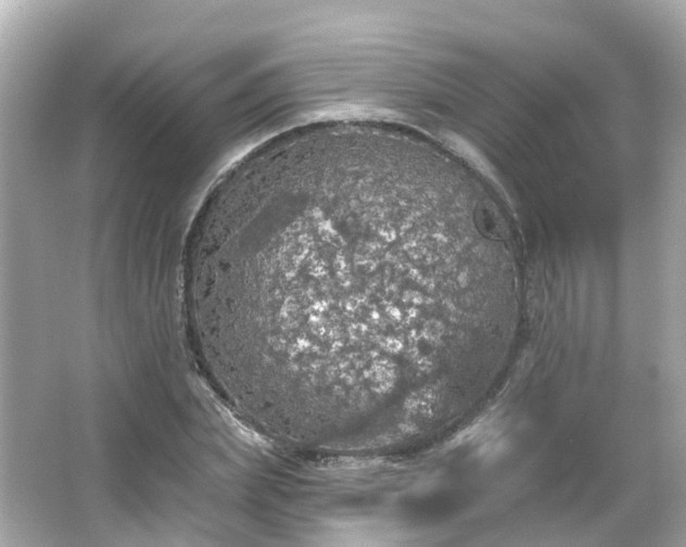 X0000066090831200603131201