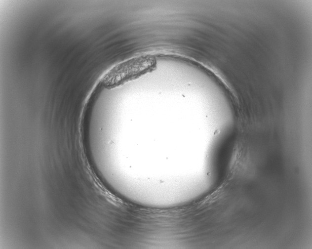 X0000066090832200603131201